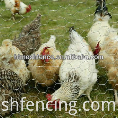 Yardgard da 2 pollici a rete esagonale reti di pollo zincato galvanizzato Fence a maglie di pollo